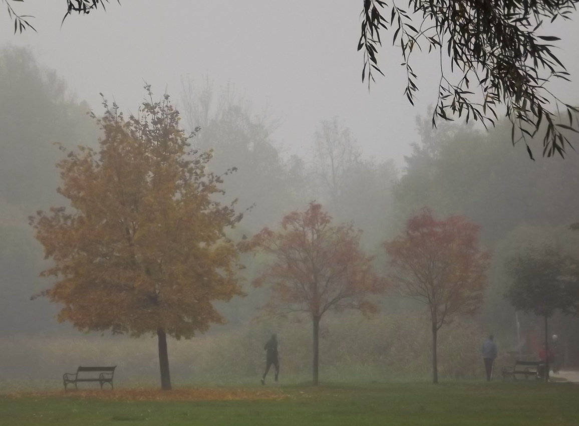 Park ködben