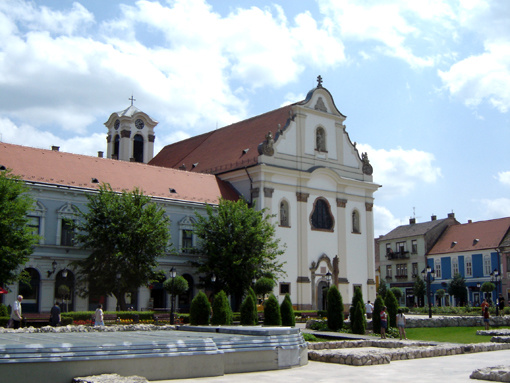 Fehérek temploma, Vác