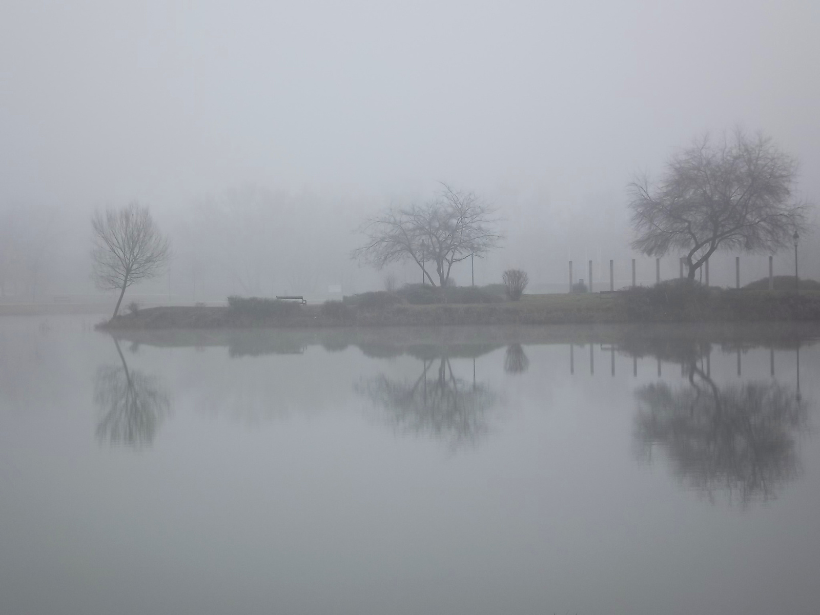 Ködös tópart 4