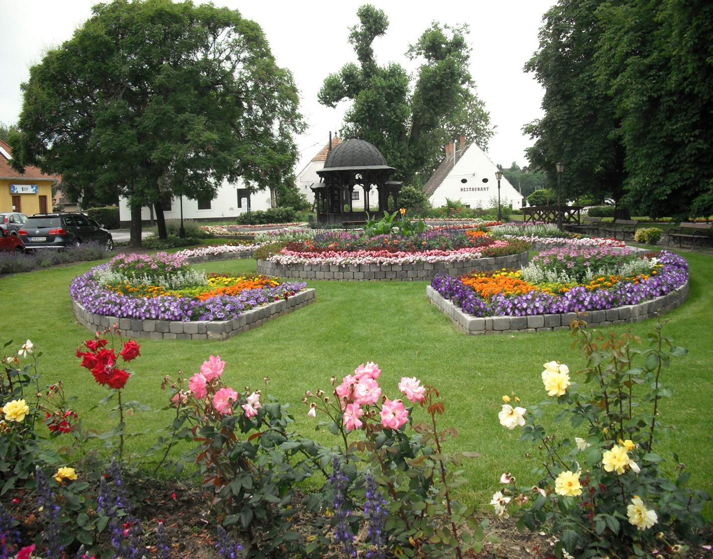 A park virágai 1