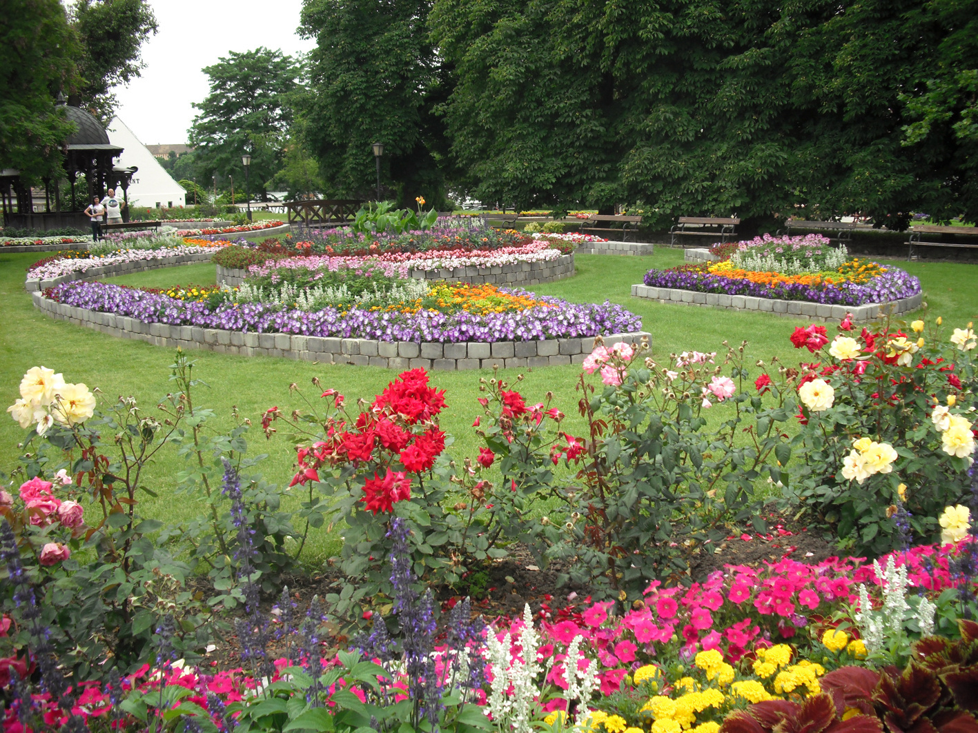 A park virágai