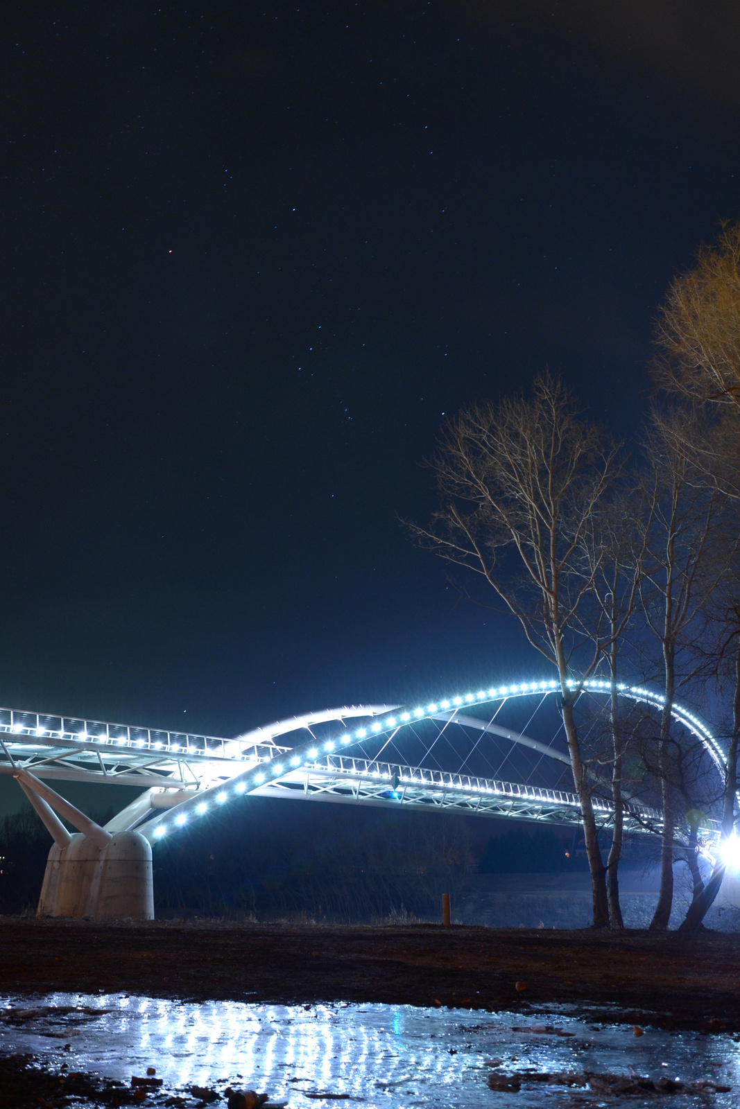 Szolnoki Tiszavírág híd
