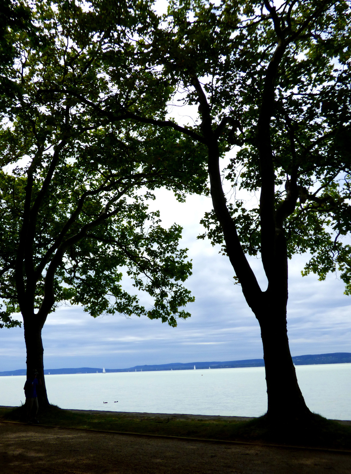 Balaton 9.