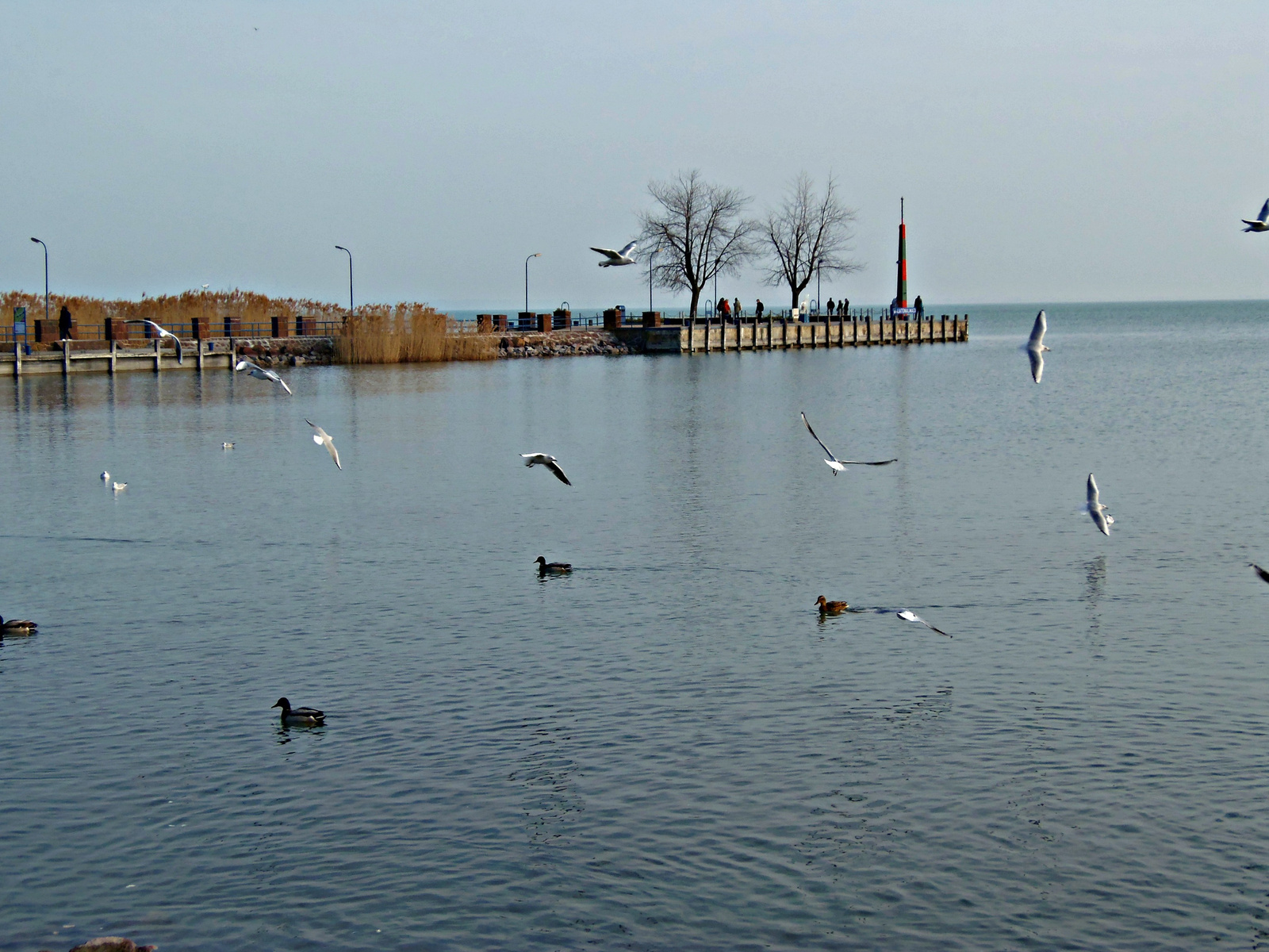 A téli Balaton