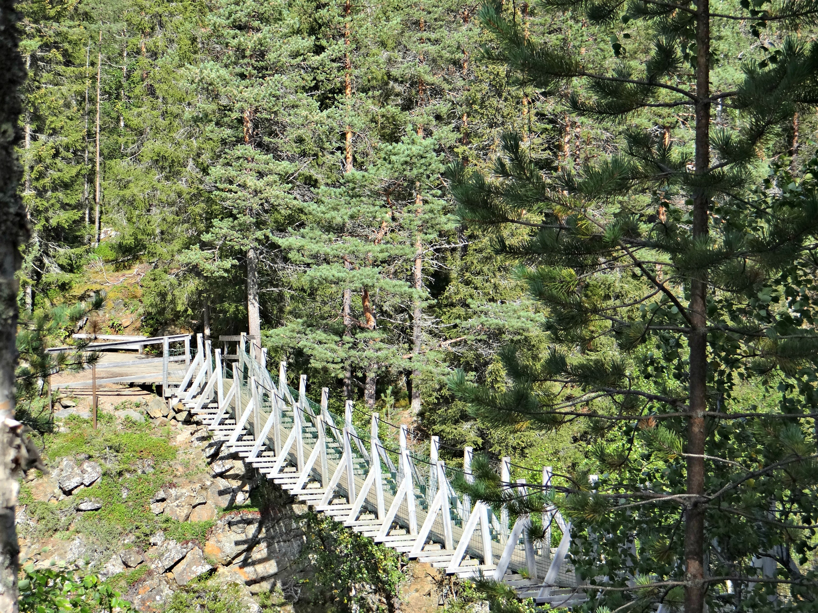 Oulanka Nemzeti Park, Medveösvény