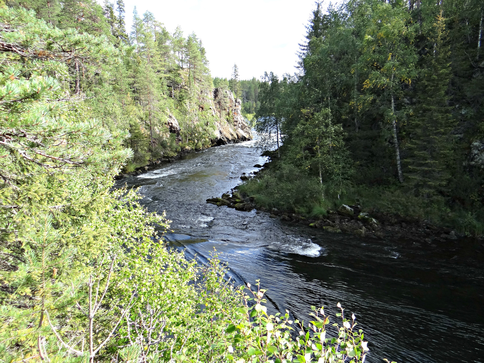 Oulanka Nemzeti Park, Medveösvény