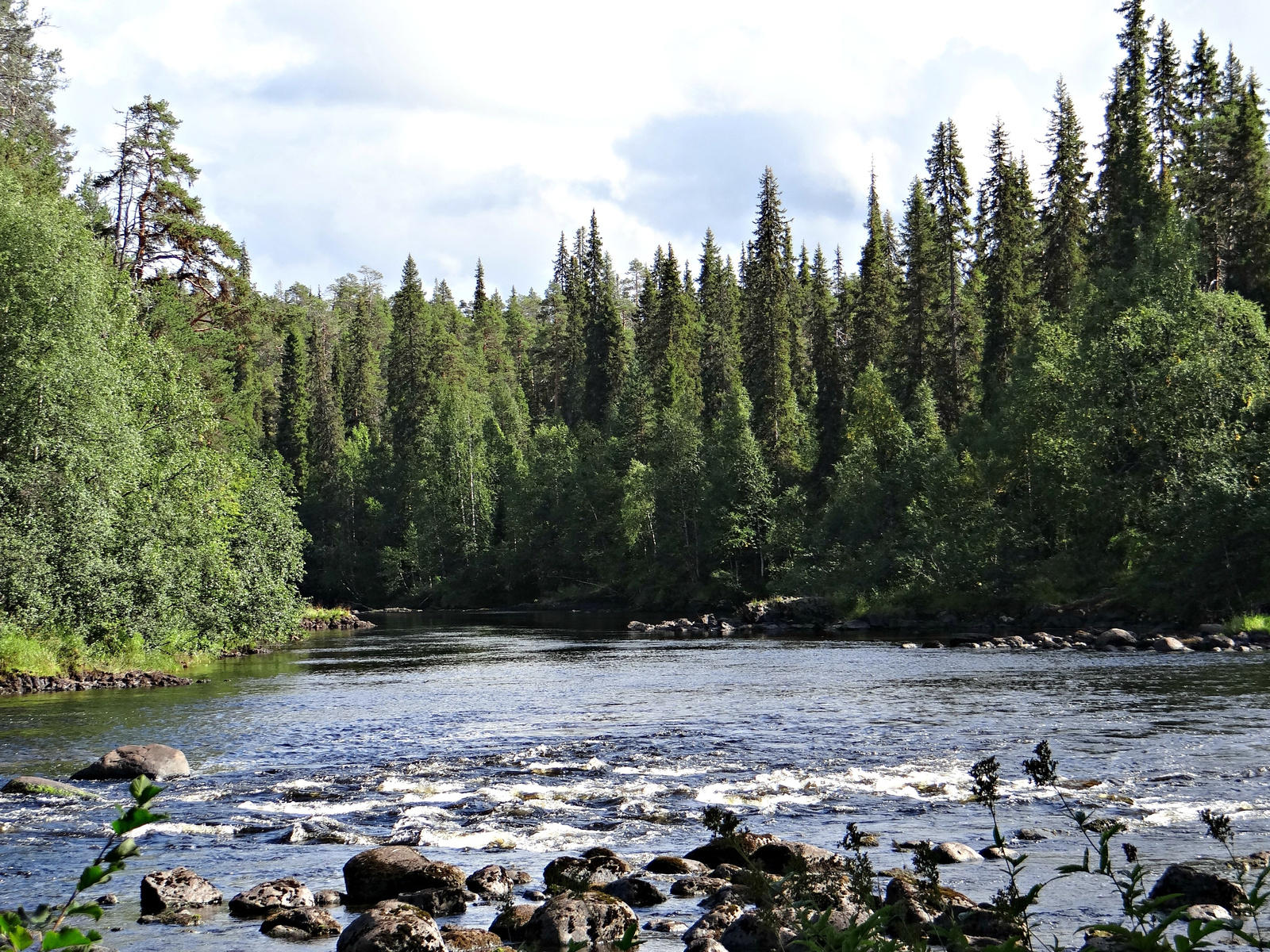 Oulanka Nemzeti Park, Medveösvény