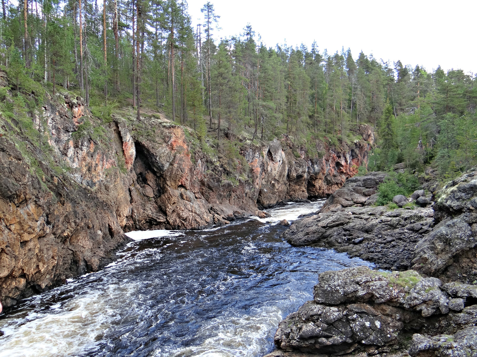 Oulanka Nemzeti Park, Medveösvény