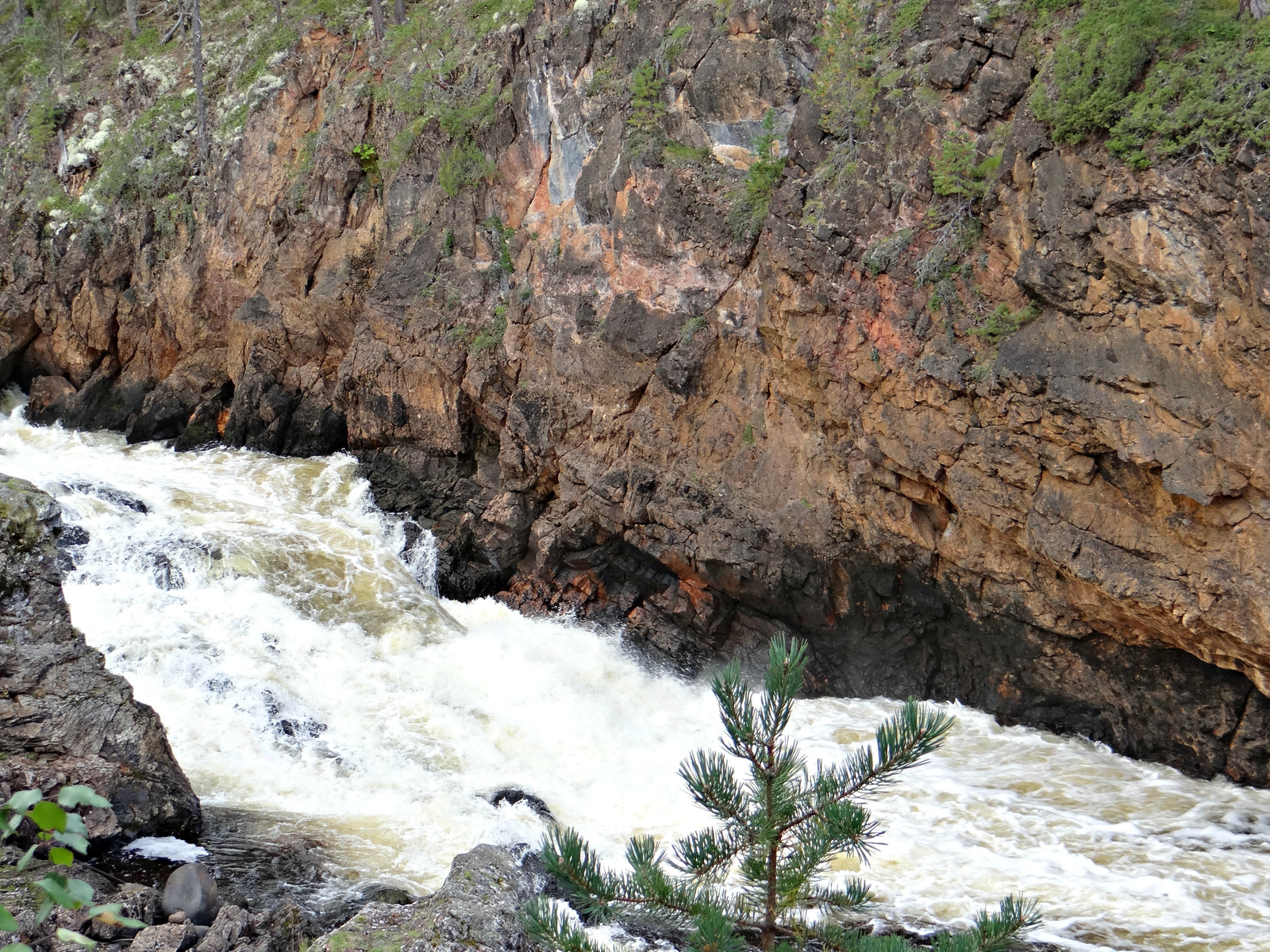 Oulanka Nemzeti Park, Medveösvény