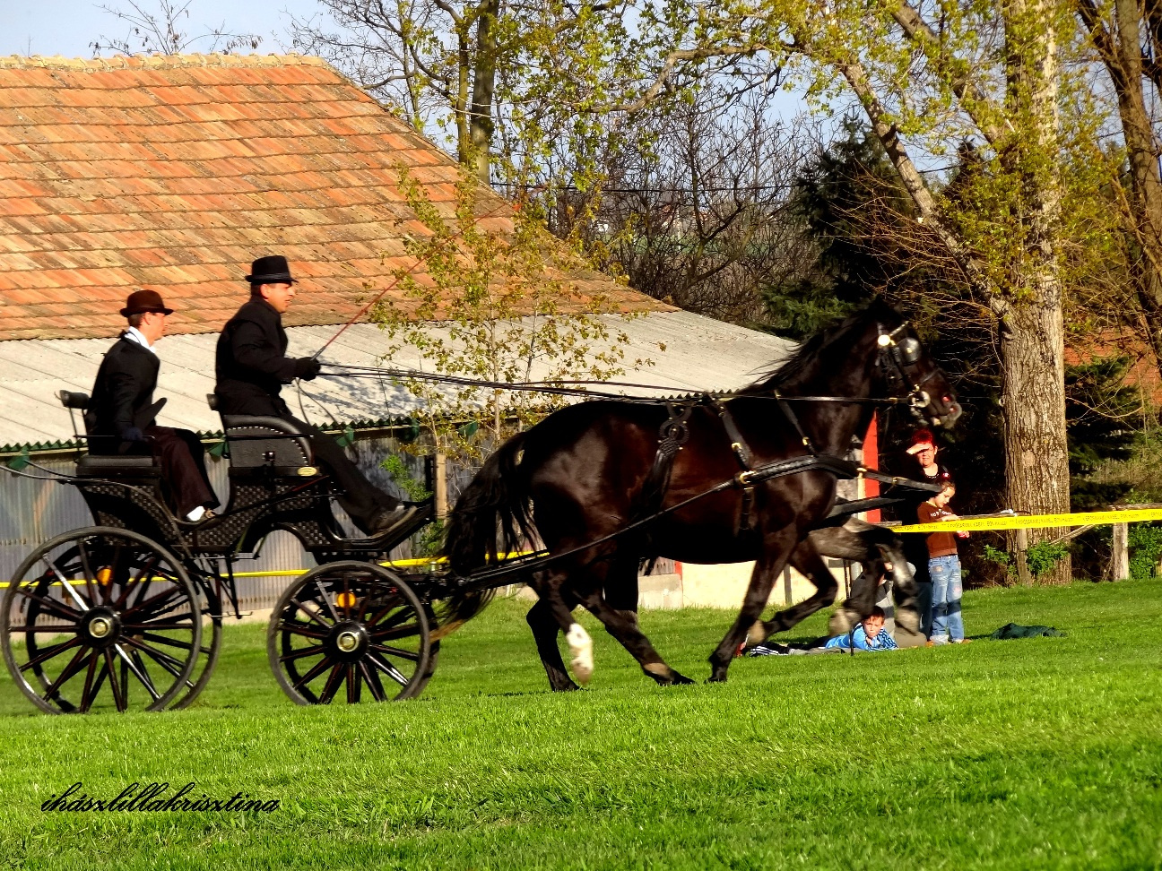 Nagy Péter