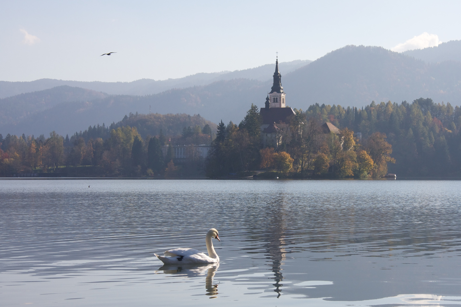 Bled