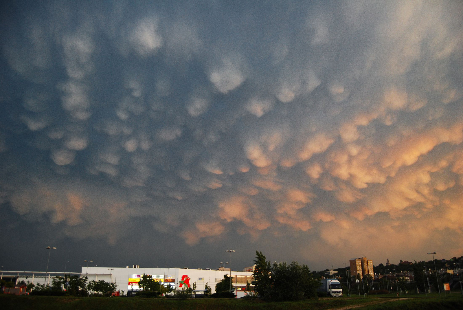 mammatus