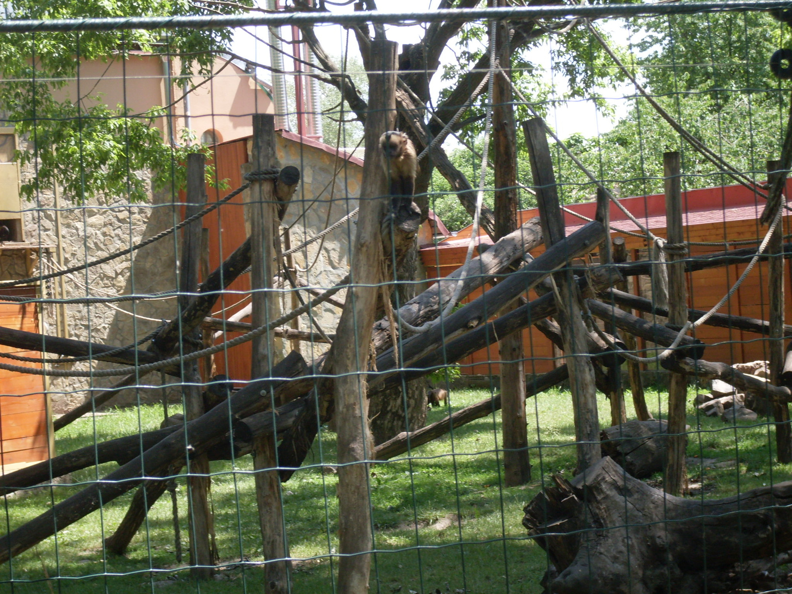 Állatkert Győr 2012 május 034