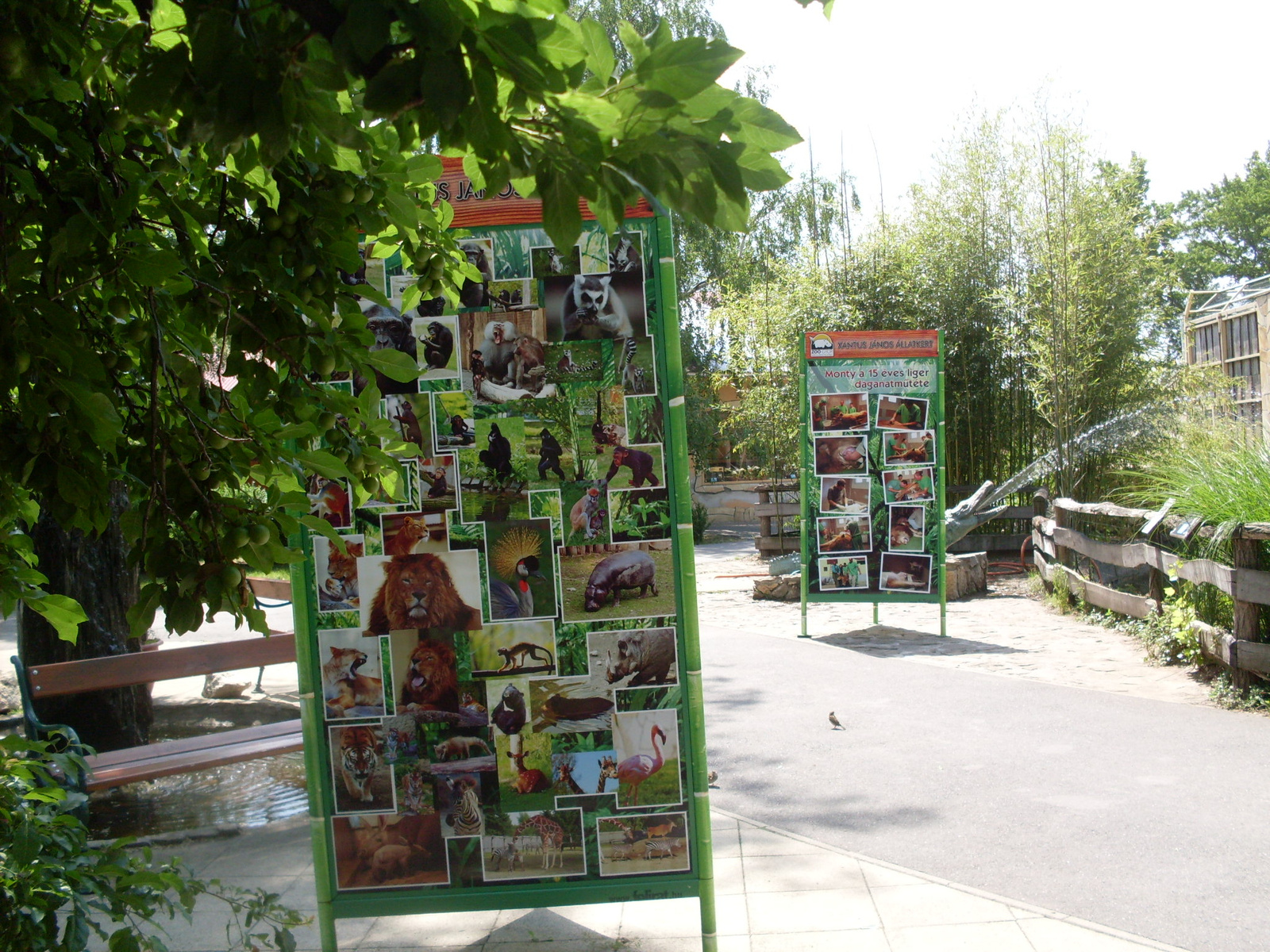 Állatkert Győr 2012 május 010