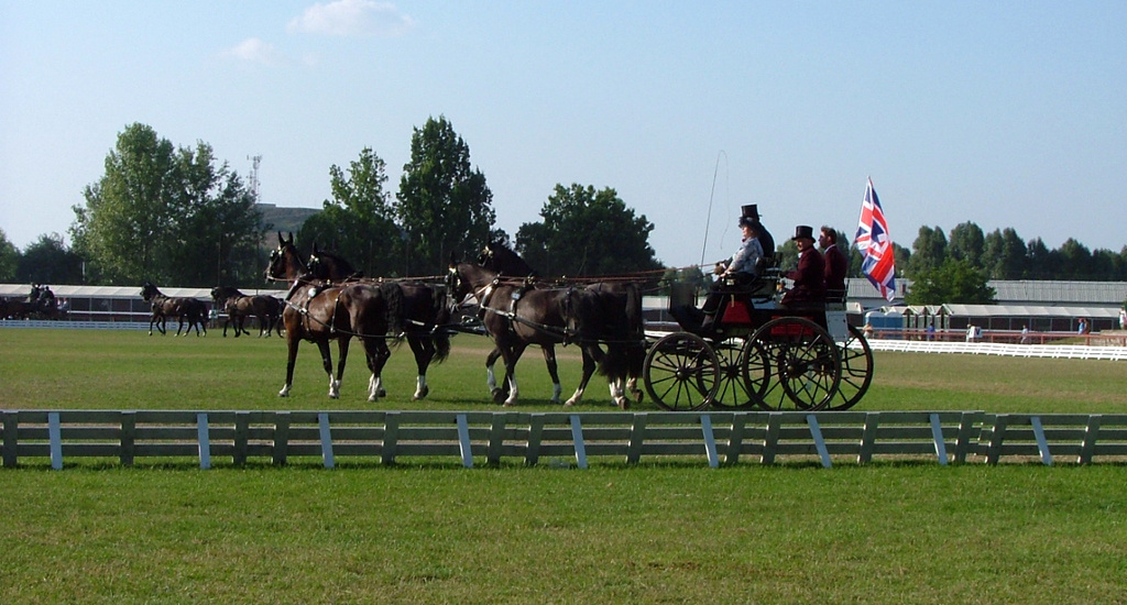 2004 Négyesfogathajtó Vb Kecskemét - Őrmester