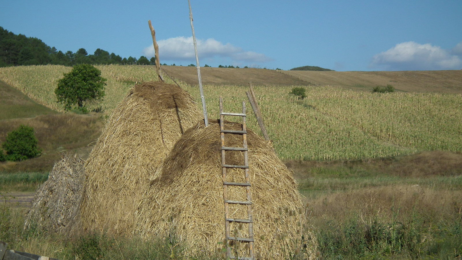 Erdély -Szék. A határban