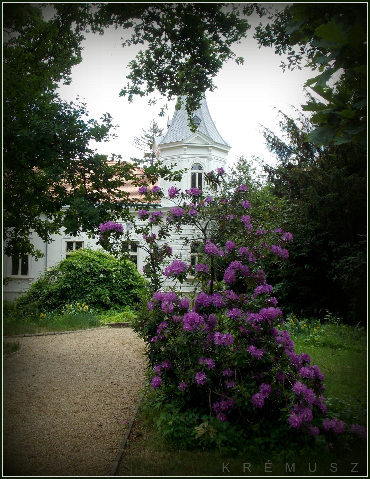 I ♥ Kámoni arborétum