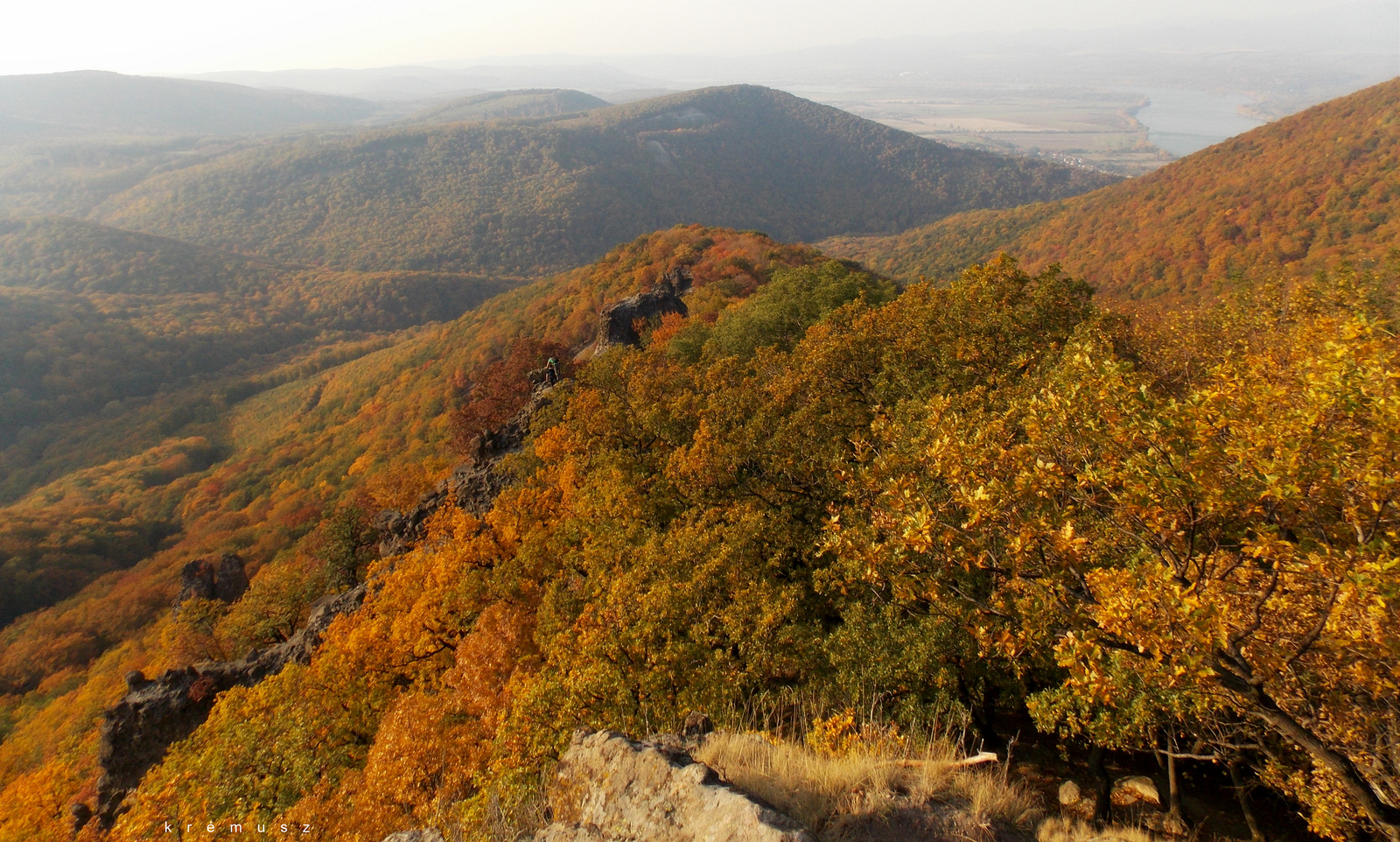 Vadálló-kövek