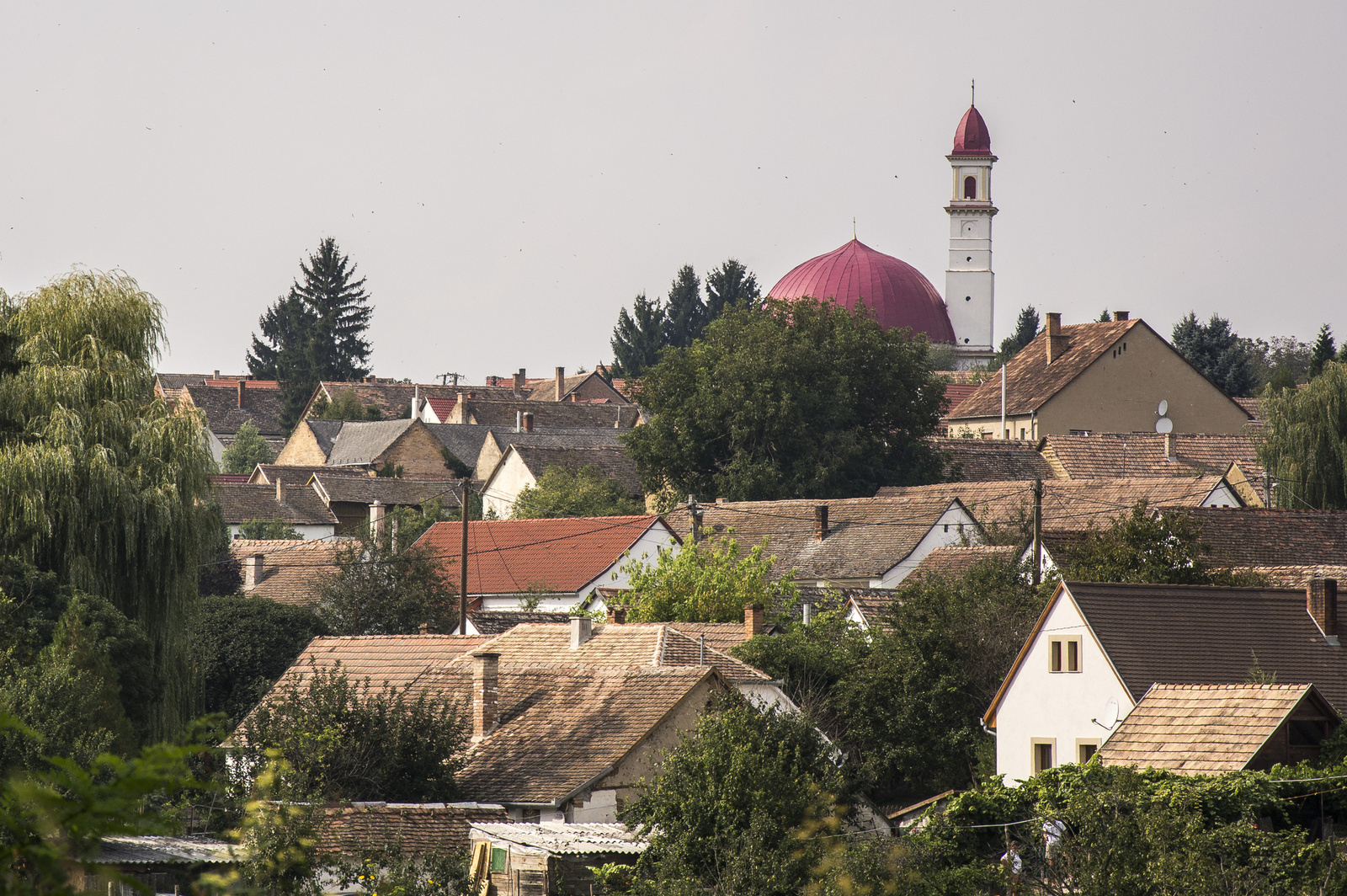 Palkonya