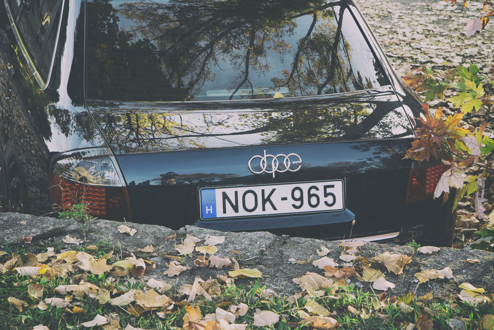 Audi5
