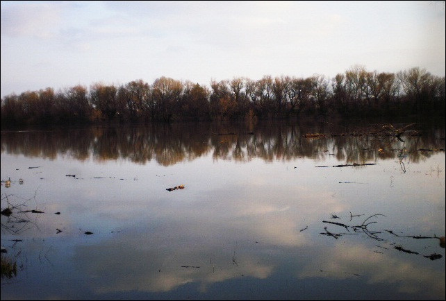 tisza