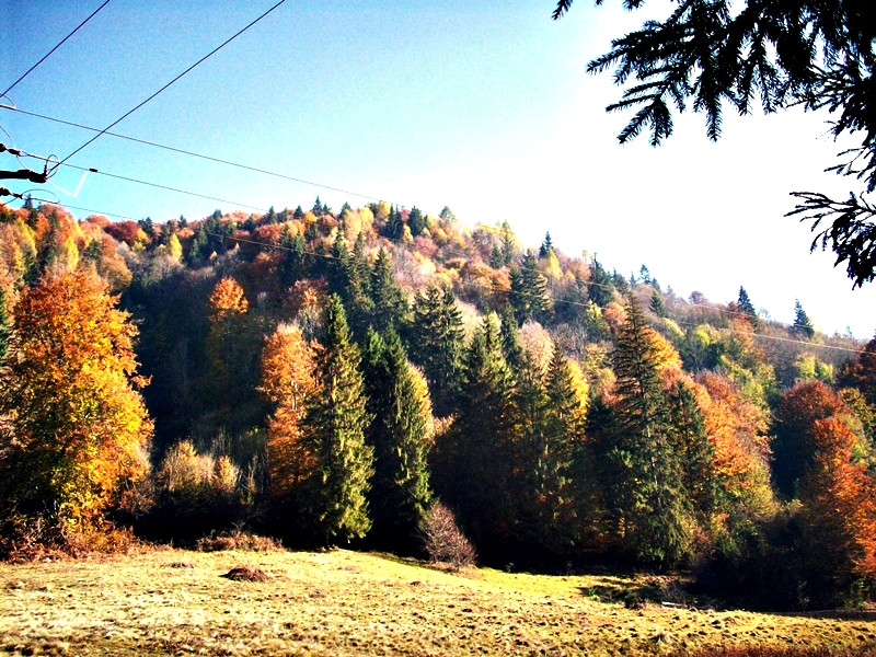 Őszi színekben. Jód völgye-Erdély.