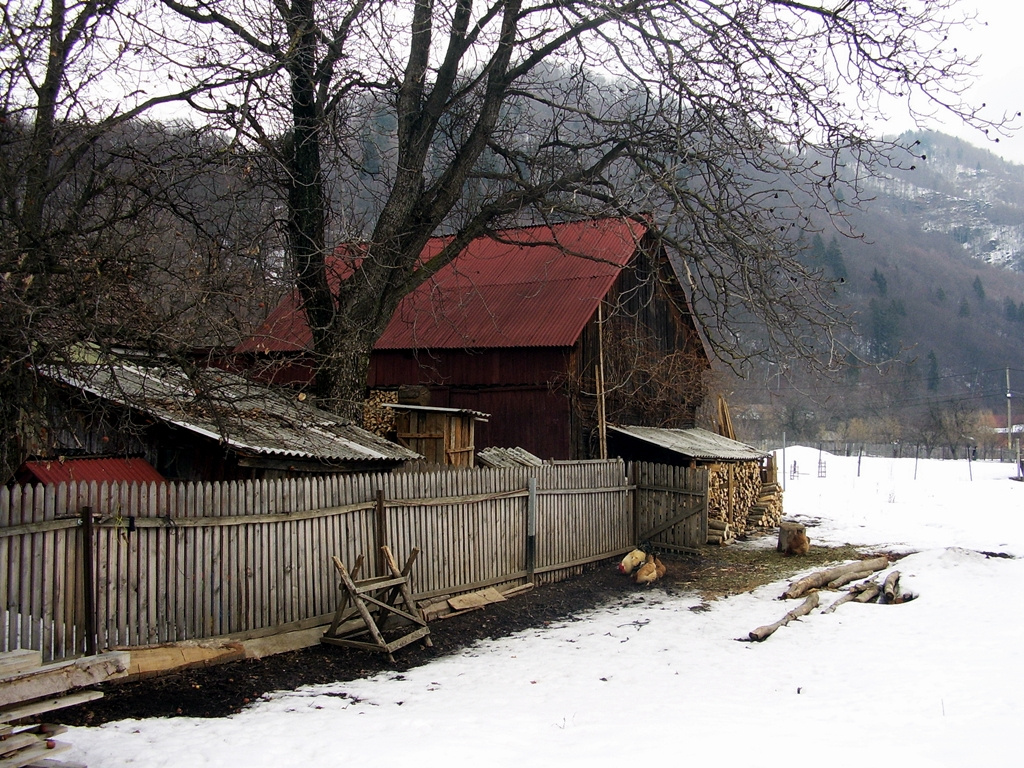 Ratosnya-utcakép, Erdély