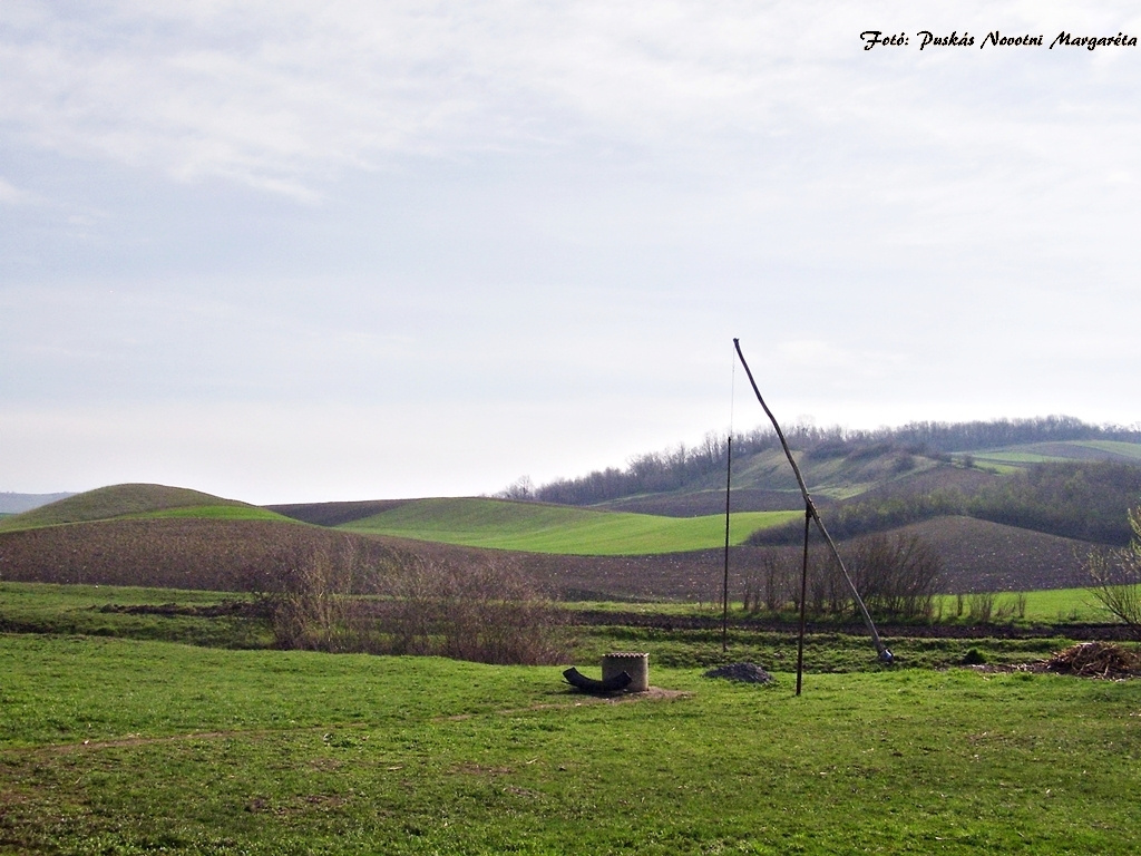 kút a mezőn, Drekulytelep (Drăculea Bandului), Erdély.