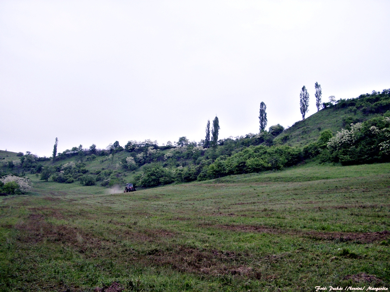 legelő takarítása szürkületkor a Hármasfalui határban (Lószüre)