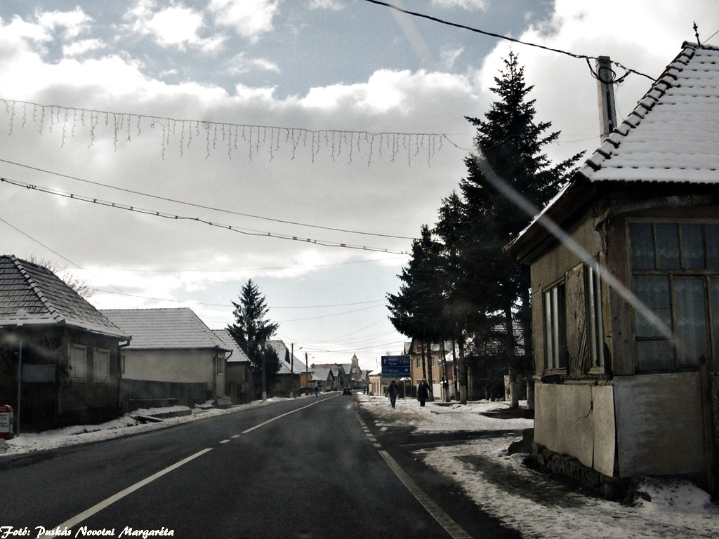 elhagyatva, "halálra ítélve", Disznajó, Erdély)