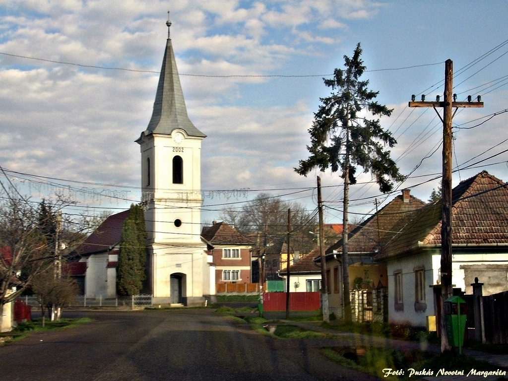 Mezőfele (Câmpeniţa), Református templom, Erdély