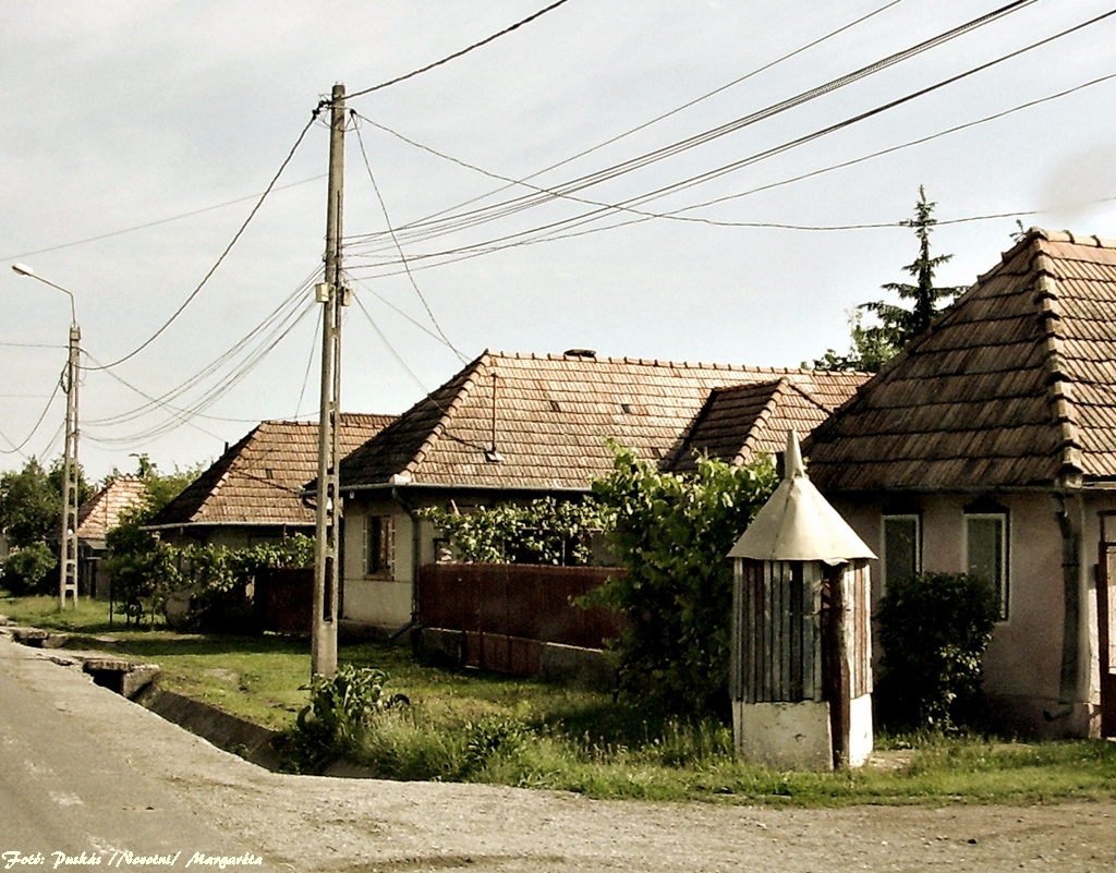 Székelyvaja (Vălureni), Erdély. Utcakép
