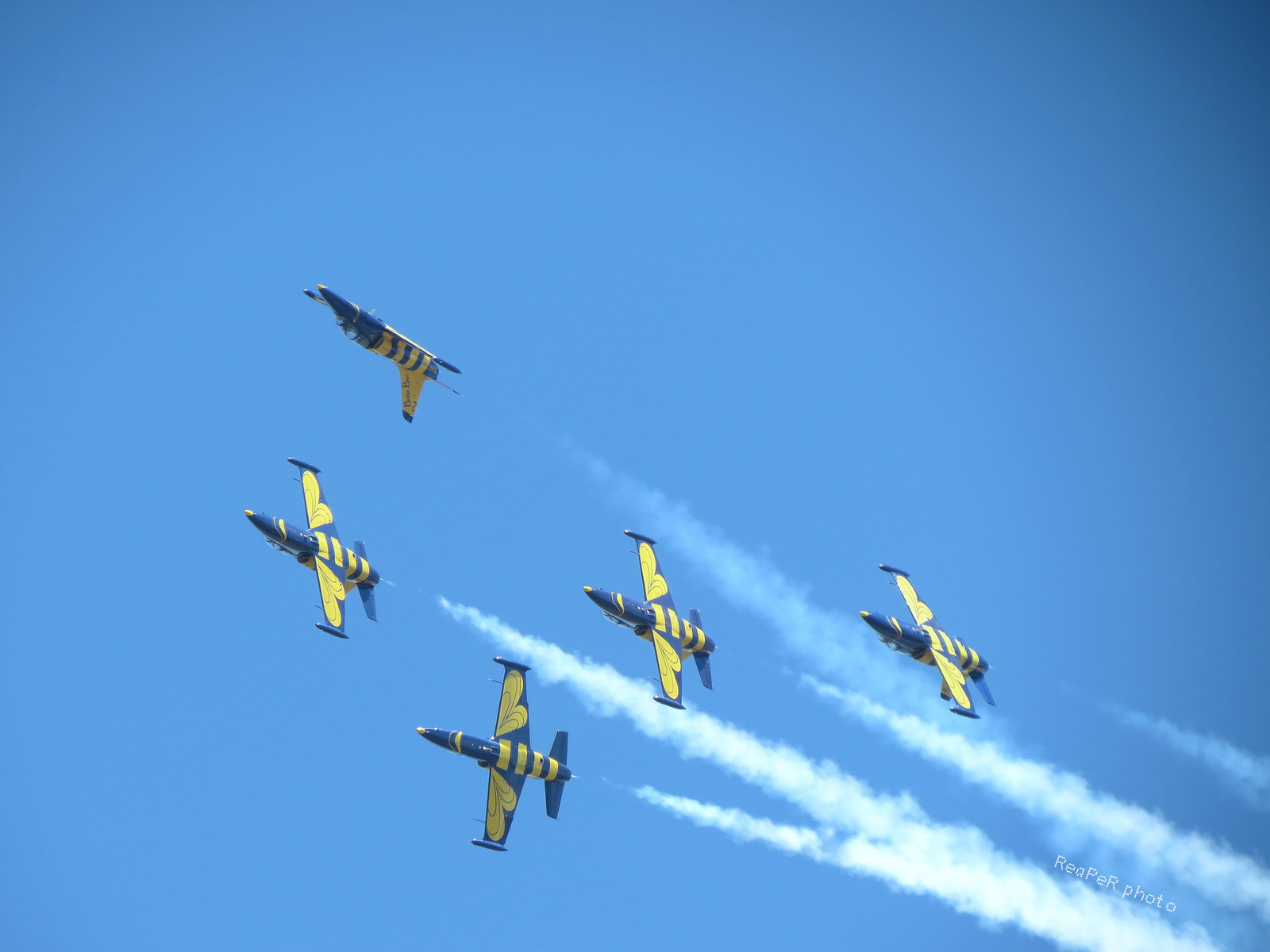 Flying Bees Litvánia L-39 Albatros