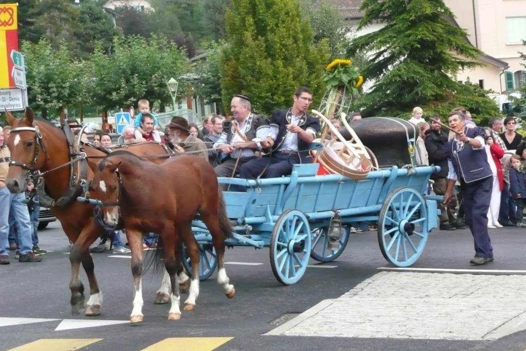 Végre ló!