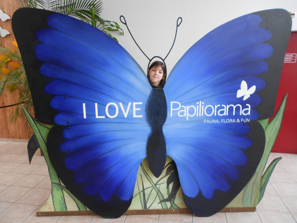 124 Papiliorama