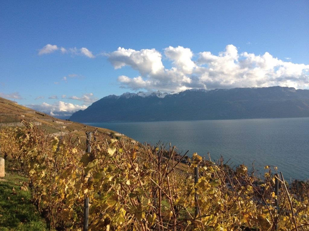 15 Lavaux