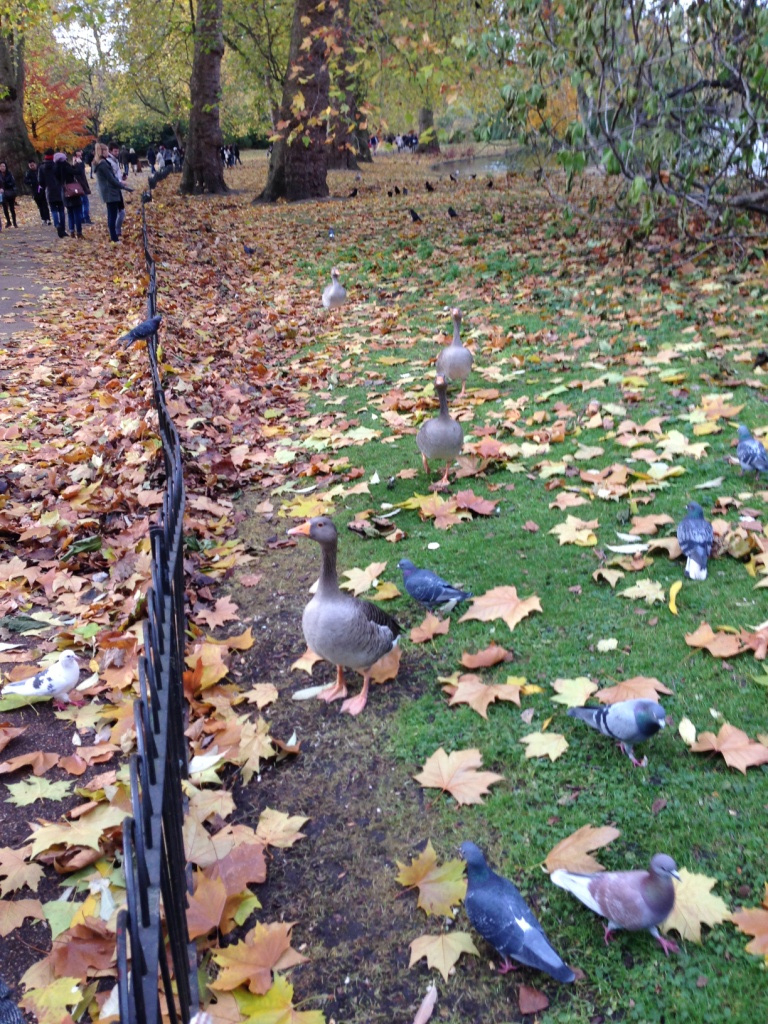 015 St. James's Park