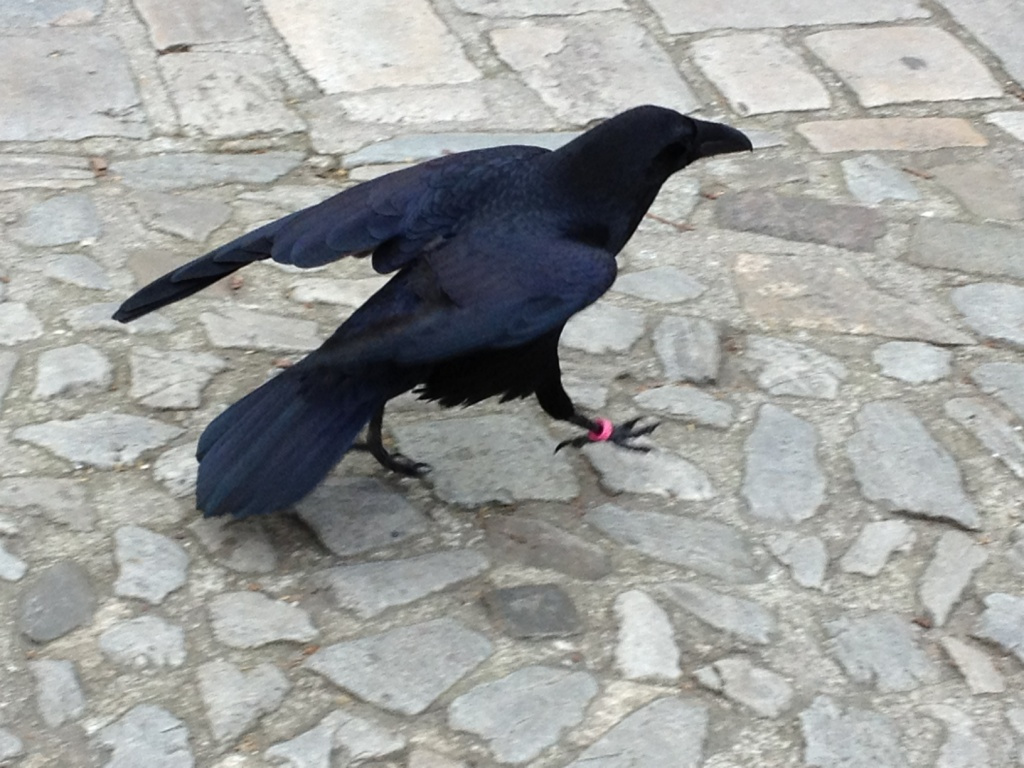 153 Tower of London