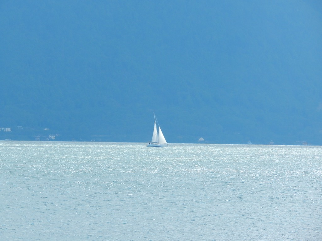 20 Vevey