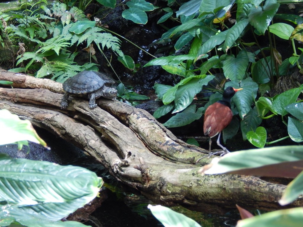 078 Bern Tierpark