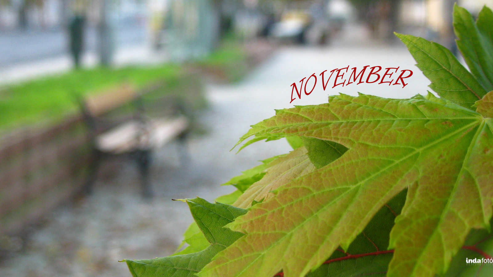 November 1 NT