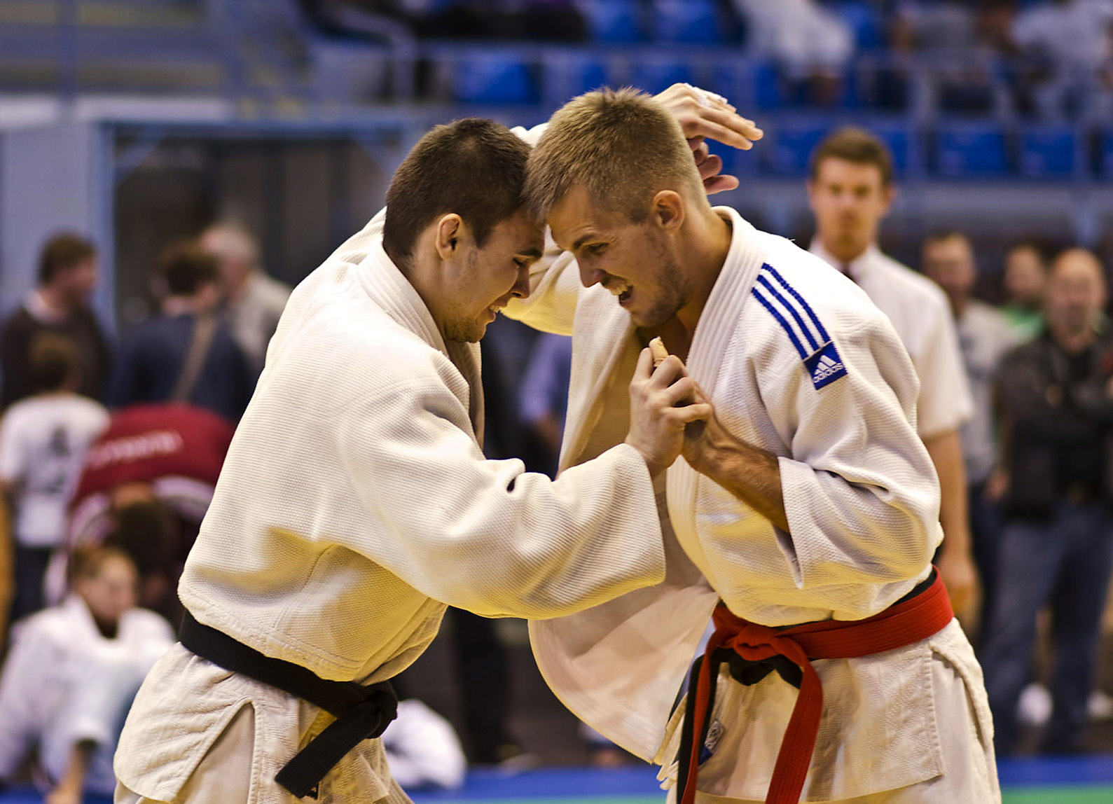 Judo OB 20121010 0065