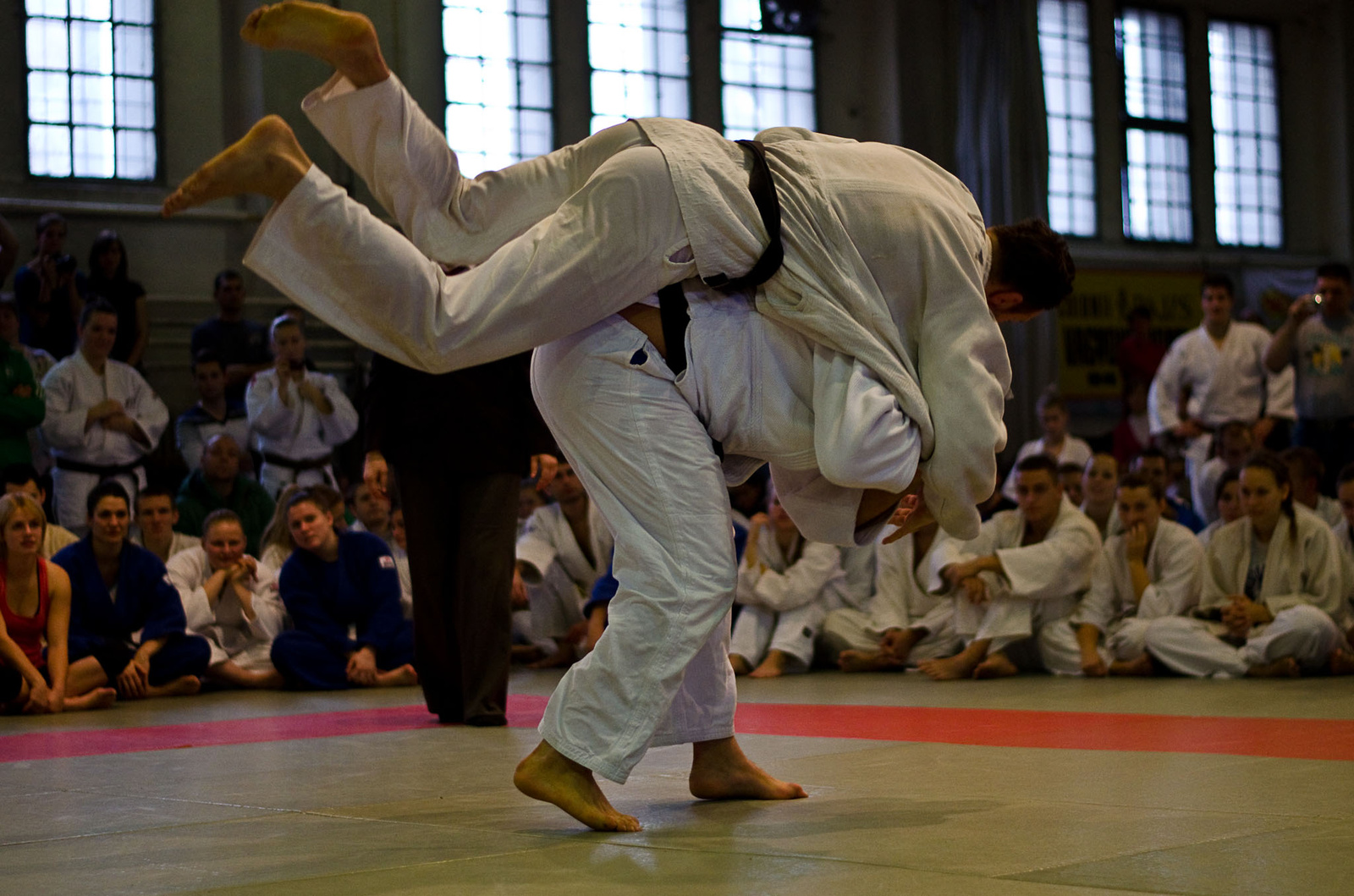 Judo MEFOB 20121125 012