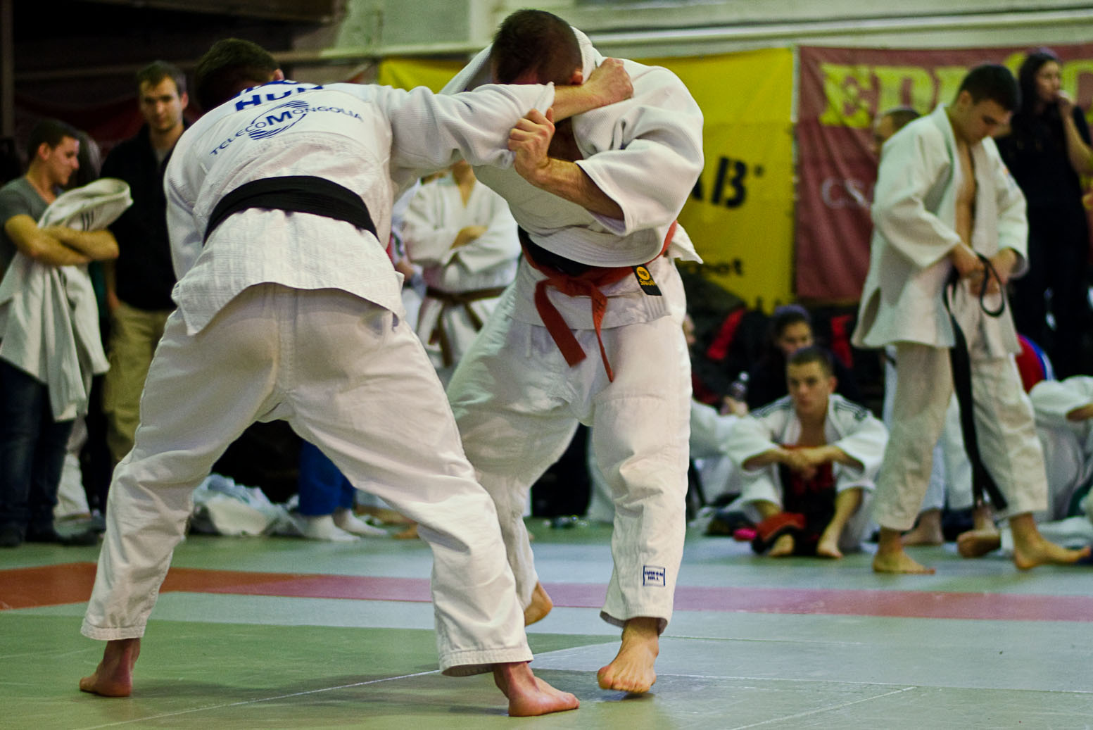 Judo MEFOB 20121125 031