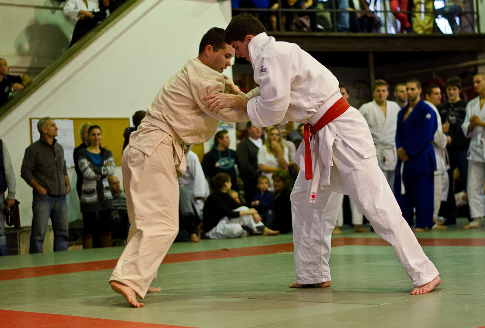 Judo MEFOB 20121125 081