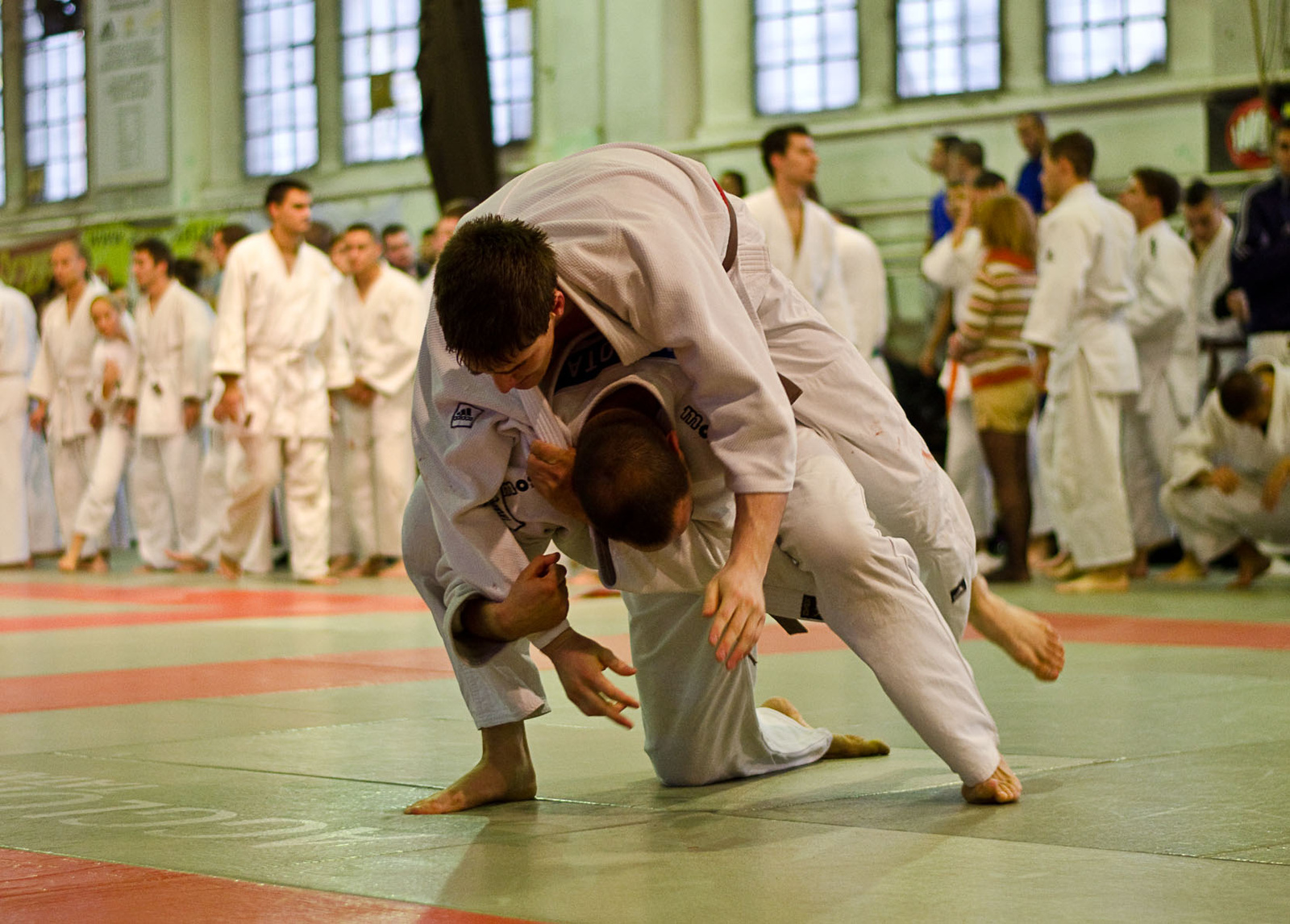 Judo MEFOB 20121125 090