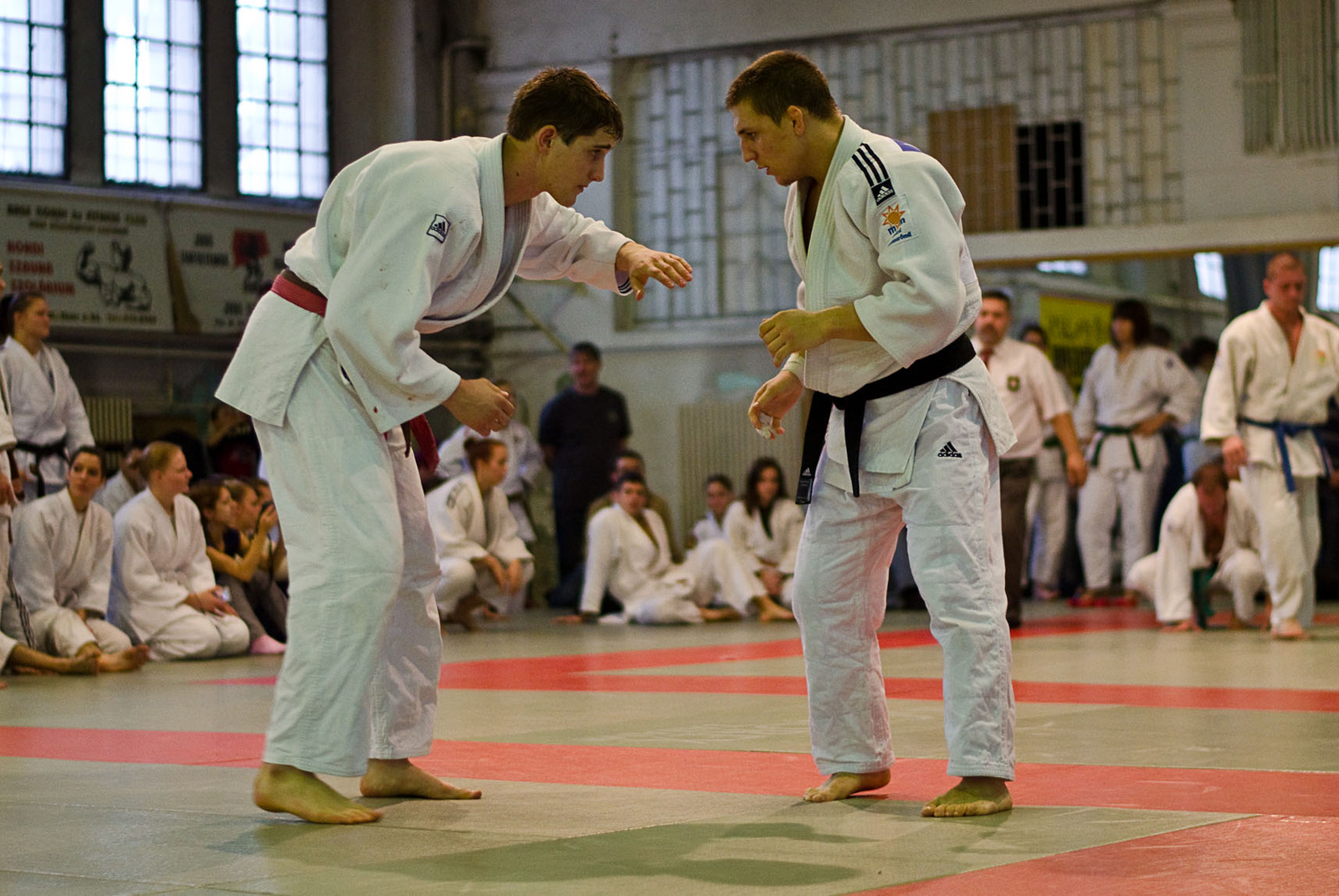 Judo MEFOB 20121125 084