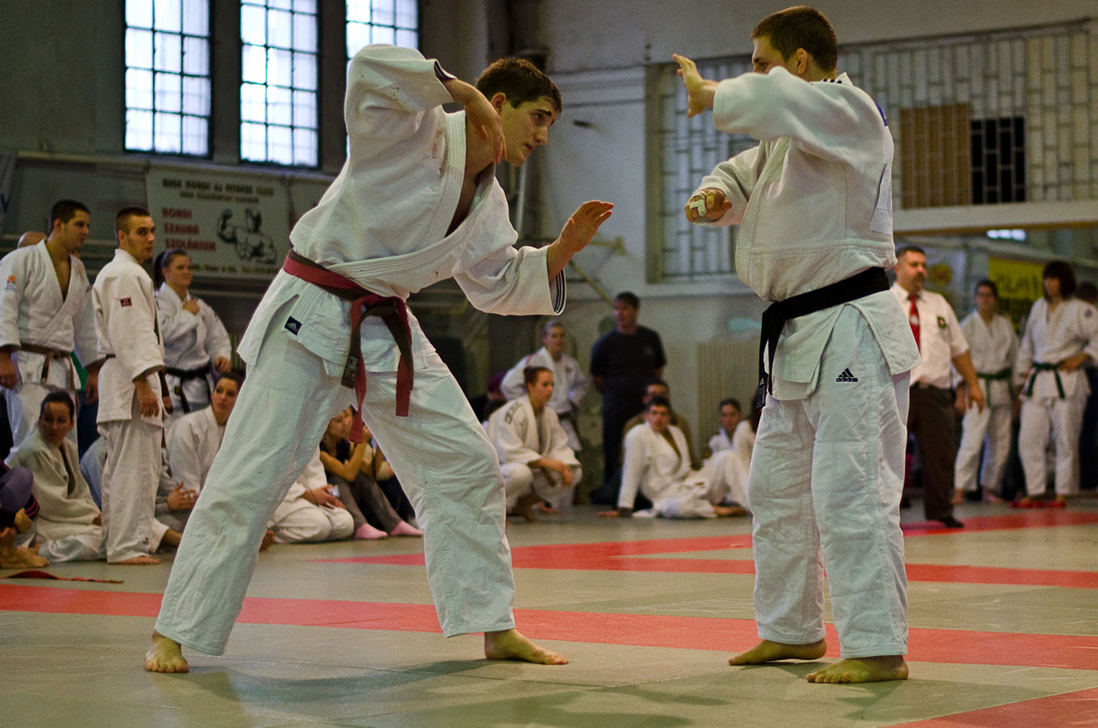 Judo MEFOB 20121125 085