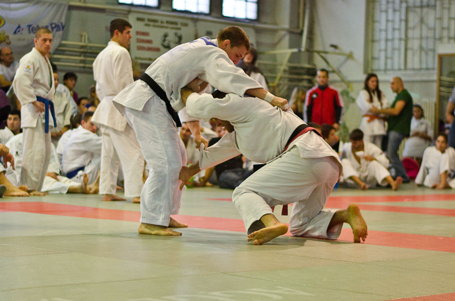 Judo MEFOB 20121125 167