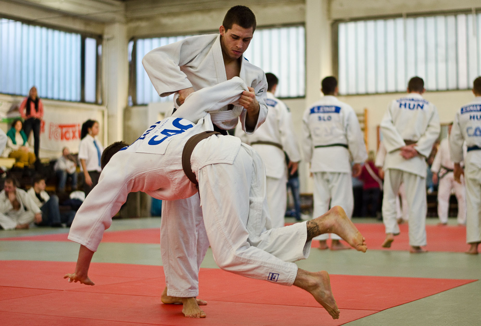 Judo CSB 20121209 015